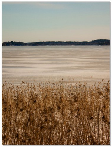 Plakat Nature chill 61027 Naklejkomania - zdjecie 1