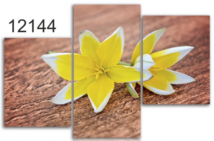 Tryptyk do salonu - Kwiaty, margaretka 12144 Naklejkomania - zdjecie 1