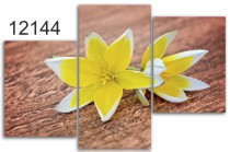 Tryptyk do salonu - Kwiaty, margaretka 12144 Naklejkomania - zdjecie 1 - miniatura
