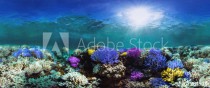 Glowing coral reef Naklejkomania - zdjecie 1 - miniatura