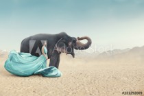 Fashion portrait of young woman posing next to elephant Naklejkomania - zdjecie 1 - miniatura