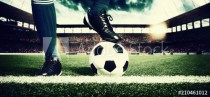 Fussball Stadion Naklejkomania - zdjecie 1 - miniatura