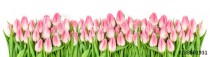 Fresh spring tulip flowers banner Floral border Bouquet Naklejkomania - zdjecie 1 - miniatura