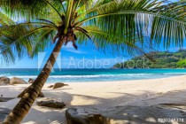 Fototapeta na ścianę plaża z palmami 42231 Naklejkomania - zdjecie 2 - miniatura