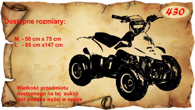 Naklejka dekoracyjna na ścianę  430 - zdjęcie 2