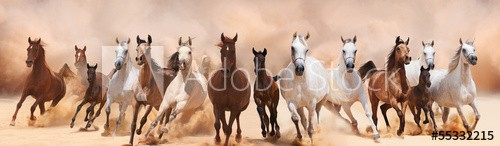 A herd of horses running on the sand storm - zdjęcie 1