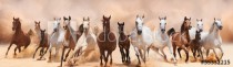 A herd of horses running on the sand storm Naklejkomania - zdjecie 1 - miniatura