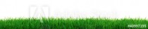 Fresh grass Naklejkomania - zdjecie 1 - miniatura