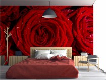 Fototapeta na ścianę tapeta na fizelinie do salonu sypialni, kwiat, czerwień, róża 10056 Naklejkomania - zdjecie 1 - miniatura
