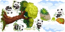 Naklejki na ścianę dla dzieci  40998 pandy drzewo Naklejkomania - zdjecie 2 - miniatura