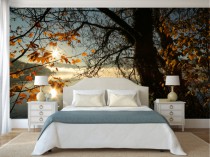 Fototapeta na ścianę tapeta na fizelinie do sypialni, las, jezioro, jesień 10076 Naklejkomania - zdjecie 1 - miniatura