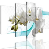Obrazy 5 częściowe- Storczyk, orchidea, zen 12301 Naklejkomania - zdjecie 1 - miniatura