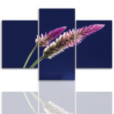 Tryptyk do salonu - Kwiaty, roślina, kłos 12045 Naklejkomania - zdjecie 1 - miniatura