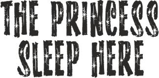 676 Napisy naklejki dla dzieci The Princess sleep here - zdjęcie 2