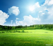 field of grass and perfect sky Naklejkomania - zdjecie 1 - miniatura