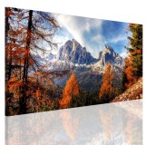 Obraz na ramie płótno canvas- pejzaż, las, góry 15066 Naklejkomania - zdjecie 1 - miniatura