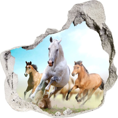 Naklejka na ścianę, dziura 3D konie galop 3588 - zdjęcie 2