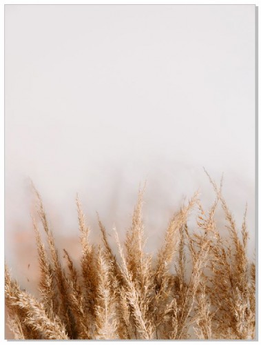 Plakat Nature boho 61021 Naklejkomania - zdjecie 1