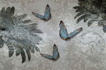 Fototapety na ścianę zaczarowane motyle 10786 Naklejkomania - zdjecie 2 - miniatura
