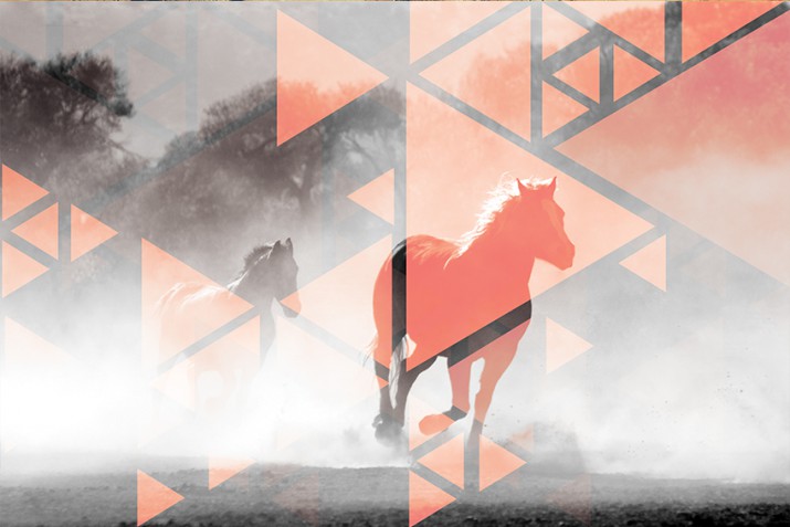 Fototapeta na ścianę tapeta na fizelinie do salonu Pastelowy galop 10596 - zdjęcie 2