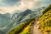 path in mountains Naklejkomania - zdjecie 1 - miniatura
