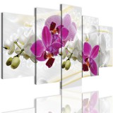 Obrazy 5 częściowe-  Storczyk, orchidea, zen 12300 Naklejkomania - zdjecie 1 - miniatura
