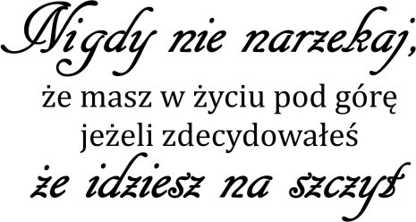 607 Motywacyjne napisy na ścianę Nigdy nie narzekaj - zdjęcie 2