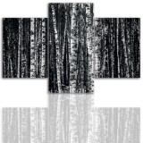 Tryptyk do salonu - Drzewa, brzozy 12214 Naklejkomania - zdjecie 1 - miniatura