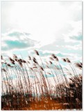 Plakat Nature niebo łąka 61032 Naklejkomania - zdjecie 2 - miniatura