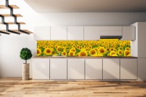 Panel szklany do kuchni  14434 słoneczniki Naklejkomania - zdjecie 1 - miniatura