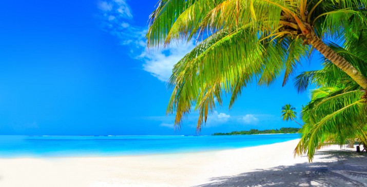 Naklejki na stoliki 216514680 okleina na stolik na plaży - zdjęcie 2