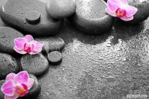 Spa stones and beautiful orchid flowers on dark background Naklejkomania - zdjecie 1 - miniatura
