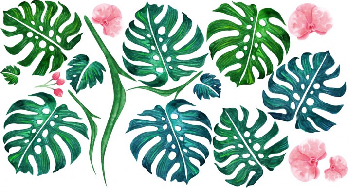 Naklejka na ścianę kwiaty liście monstera 9869 - zdjęcie 2