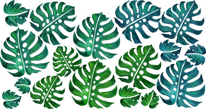 Naklejki na ścianę kwiaty liście monstera 9856 - zdjęcie 2