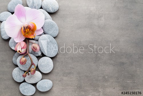 Spa orchid theme objects on grey background.