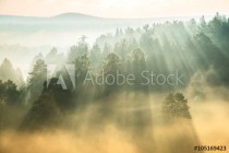 rays of the sun breaking through the fog Naklejkomania - zdjecie 1 - miniatura
