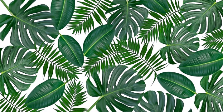 Maty magnetyczne okleiny na zmywarkę liście monstera 16078 - zdjęcie 2