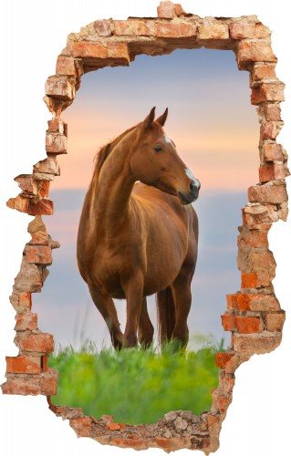 Naklejka na ścianę, dziura 3D  koń 3633 - zdjęcie 2