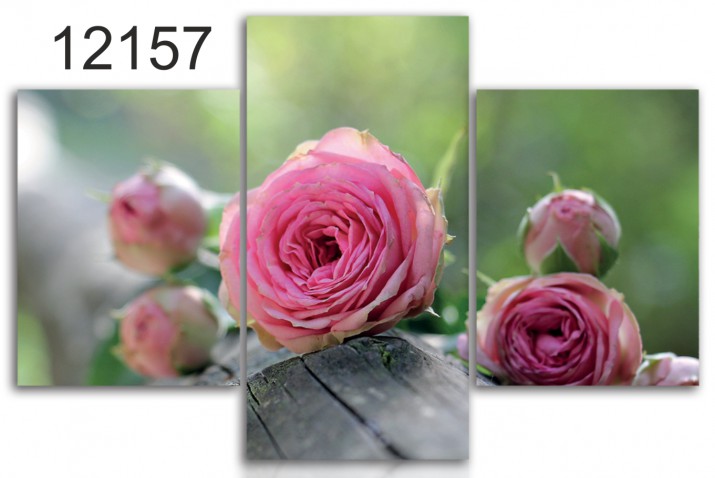 Tryptyk do salonu - Kwiaty, róże 12157 Naklejkomania - zdjecie 1