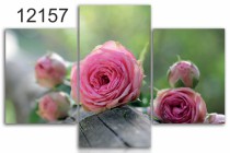Tryptyk do salonu - Kwiaty, róże 12157 Naklejkomania - zdjecie 1 - miniatura