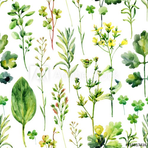 Watercolor meadow weeds and herbs seamless pattern