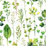 Watercolor meadow weeds and herbs seamless pattern Naklejkomania - zdjecie 1 - miniatura