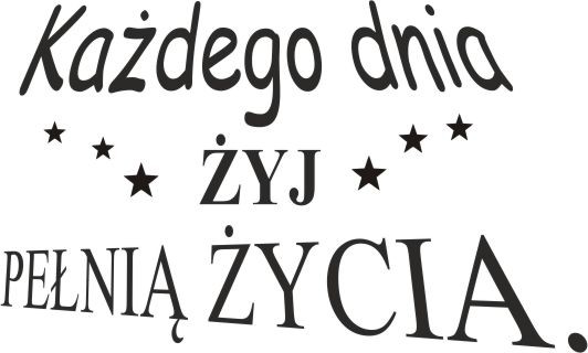 840 Napisy na ścianę naklejki ścienne Każdego dnia żyj pełnią życia - zdjęcie 2