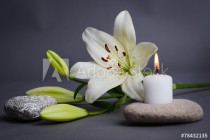 beautiful single white lily with isolated on a gray background Naklejkomania - zdjecie 1 - miniatura