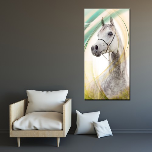 Obraz na ramie płótno canvas- Koń 12988 - zdjęcie 2