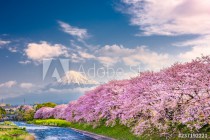 Mt. Fuji, Japan spring landscape. Naklejkomania - zdjecie 1 - miniatura