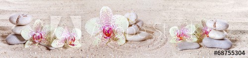 Panorama with orchids and zen stones in the sand