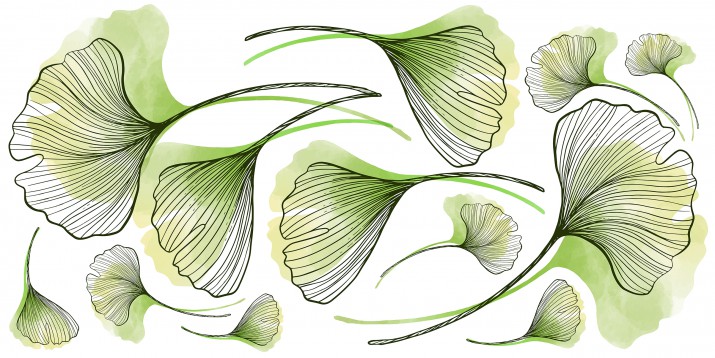 Naklejki ścienne  liście monstera 41224 - zdjęcie 2