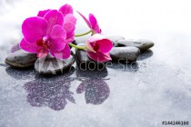 Pnk orchids and black stones close up. Naklejkomania - zdjecie 1 - miniatura
