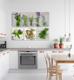 Obraz na ścianę do kuchni zioła 20245 Naklejkomania - zdjecie 2 - miniatura